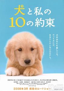 《狗狗與我的十個約定》