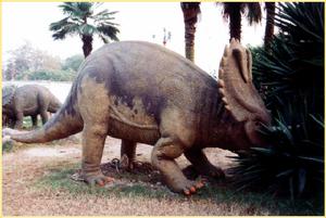 多齒鹽都龍 多齒鹽都龍