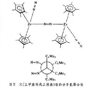 分子氮絡合物