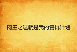 網王之這就是我的復仇計畫 網王之這就是我的復仇計畫