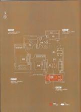 綠洲桂花城熱銷戶型
