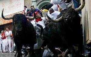 西班牙潘普洛納奔牛節 西班牙潘普洛納奔牛節