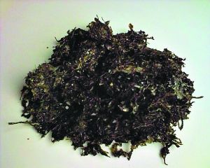 染色紫菜 染色紫菜