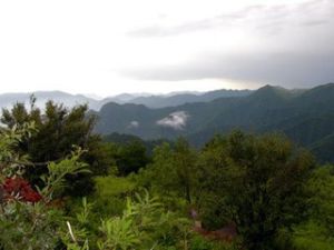 大巴山國家級自然保護區 大巴山國家級自然保護區