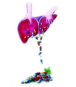 藥物毒性反應 藥物毒性反應