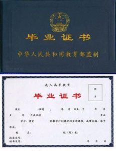 高等教育 高等教育