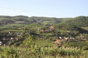 椒園自然村 椒園自然村