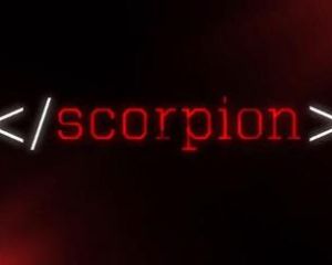 蠍子網路 蠍子網路