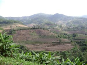 鋪子自然村 鋪子自然村