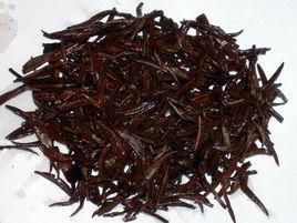 宜昌紅茶 宜昌紅茶