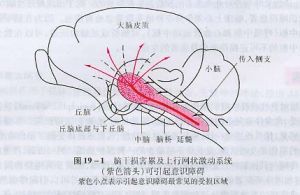 代謝紊亂和中毒引起意識障礙