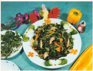 冬燴馬齒莧 冬燴馬齒莧