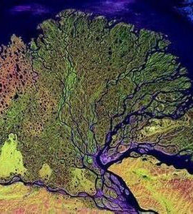 三角洲[常見的地表形貌]