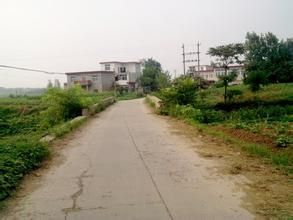 望峰崗鎮 望峰崗鎮