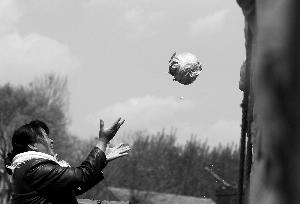 菜賤傷農 菜賤傷農