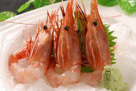 牡丹蝦 牡丹蝦