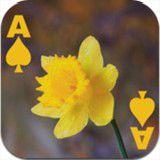 拖拉機和鬥地主 拖拉機和鬥地主