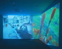 皮皮洛蒂·瑞斯特