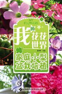 我的花花世界 我的花花世界