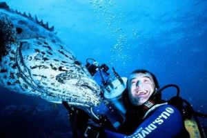 亞特蘭蒂斯電影 亞特蘭蒂斯電影