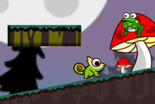 哈密瓜蟲 哈密瓜蟲