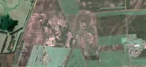 農田耶穌像 農田耶穌像