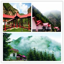 臥牛山森林公園 臥牛山森林公園