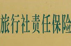 旅遊保險 旅遊保險