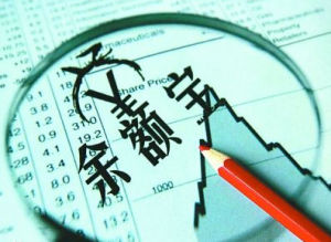 財務投資者 財務投資者