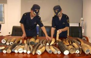 走私珍貴動物、珍貴動物製品罪 走私珍貴動物、珍貴動物製品罪