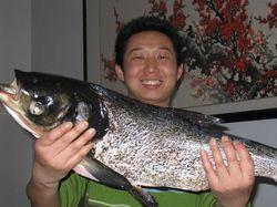 南灣魚