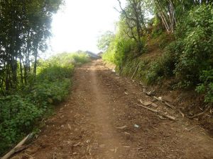 窩落箐村 窩落箐村