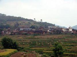 河西村[雲南省楚雄祿豐縣中村鄉河西村]