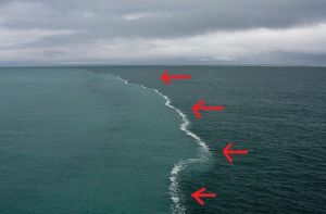 海水躍層 海水躍層