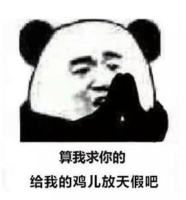 給我的雞兒放天假 給我的雞兒放天假