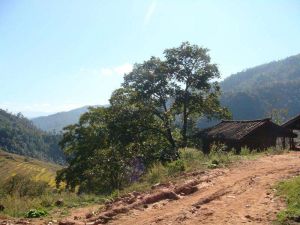 木瓜坪鄉 木瓜坪鄉