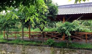 深山溝家庭農場 深山溝家庭農場