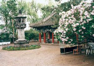 楊子榮烈士陵園