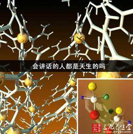 基因物語 基因物語