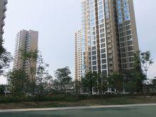 城市花園[江蘇省泗洪縣城市花園]