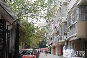 植保路12號 植保路12號