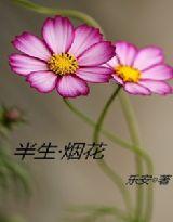 半生煙花 半生煙花
