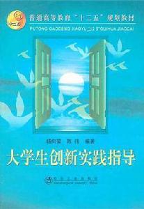 大學生創新實踐指導 大學生創新實踐指導