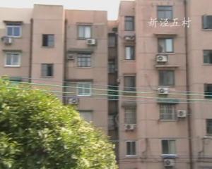 新涇八村 新涇八村