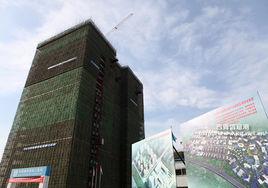 天津九策高科技產業園 天津九策高科技產業園