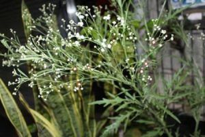 農業生態系 農業生態系