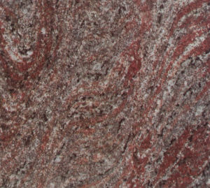 格朗·紫羅蘭 | Brasil Violot |