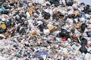 城市生活垃圾 城市生活垃圾