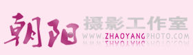 合肥朝陽婚紗攝影工作室 合肥朝陽婚紗攝影工作室