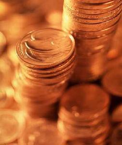 跨組織信息系統